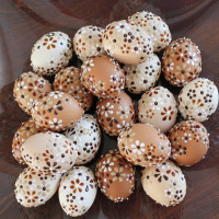 /album/fotogalerie-avadesign/product-img500w-54-jpg/